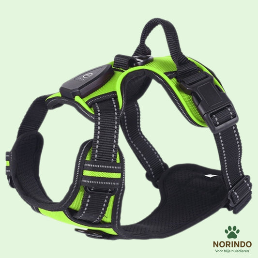 Lumo™ | Lysande Säkerhetssele För Hundar