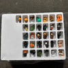 Halloween Skräck Kalender