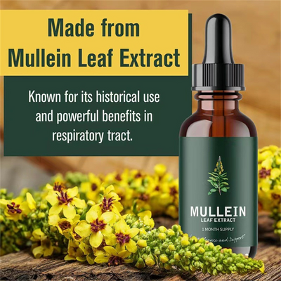 Mullein & Klorofyl Extrakt | 1 + 1 GRATIS