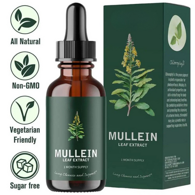 Mullein & Klorofyl Extrakt | 1 + 1 GRATIS