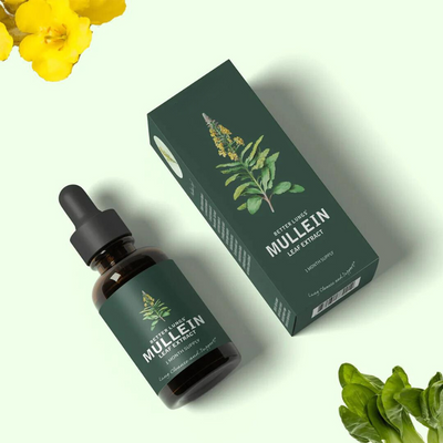 Mullein & Klorofyl Extrakt | 1 + 1 GRATIS