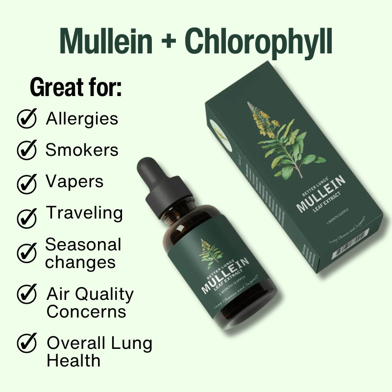 Mullein & Klorofyl Extrakt | 1 + 1 GRATIS