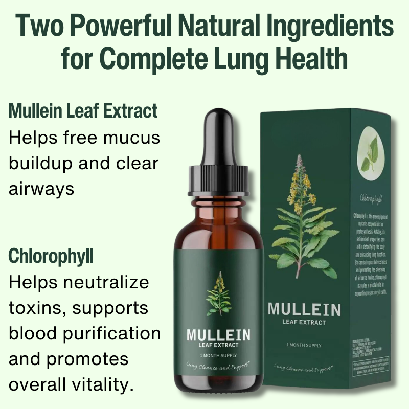 Mullein & Klorofyl Extrakt | 1 + 1 GRATIS