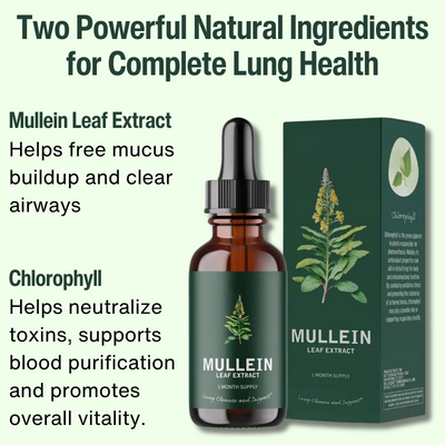 Mullein & Klorofyl Extrakt | 1 + 1 GRATIS