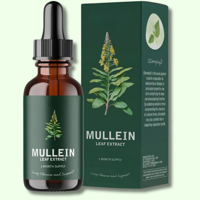 Mullein & Klorofyl Extrakt | 1 + 1 GRATIS