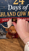 Highland Cow Adventskalender