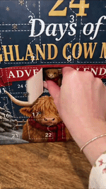 Highland Cow Adventskalender