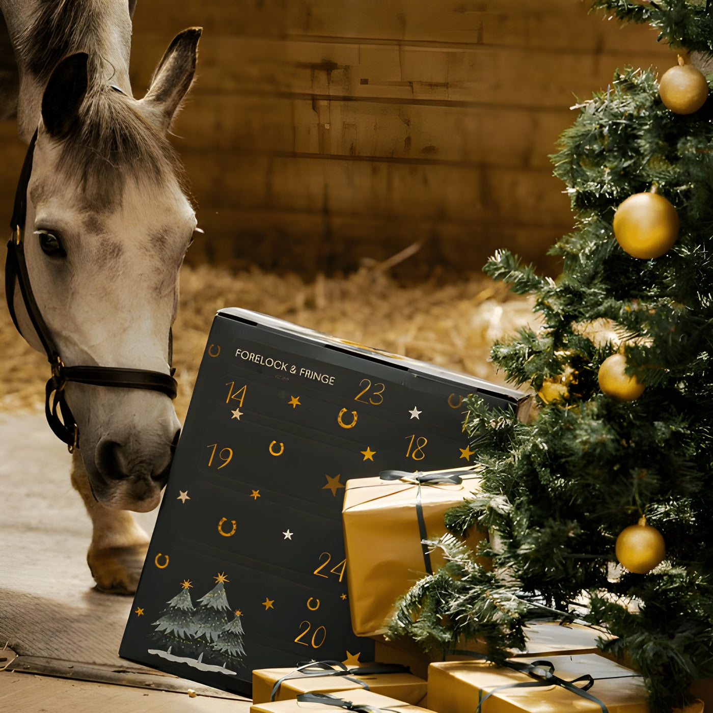 EquiJoy™ | Lyxig Adventskalender för Häst & Ryttare 🎁🐴