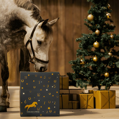EquiJoy™ | Lyxig Adventskalender för Häst & Ryttare 🎁🐴