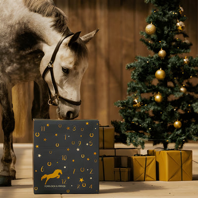 EquiJoy™ | Lyxig Adventskalender för Häst & Ryttare 🎁🐴