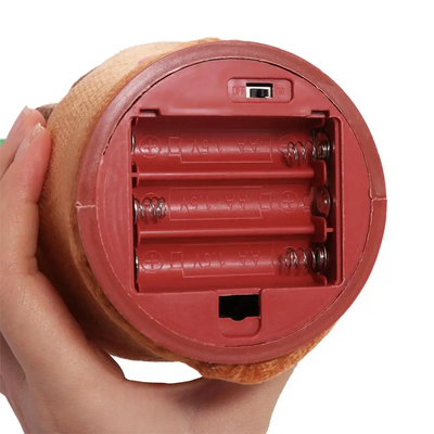 Lyla™ | Dancing Repeat Cactus