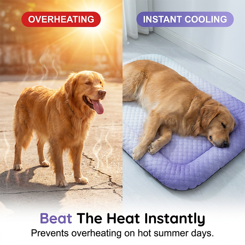 ChillPaws™ | Cooling Pet Mat – Instant Summer Relief & All-Day Comfort